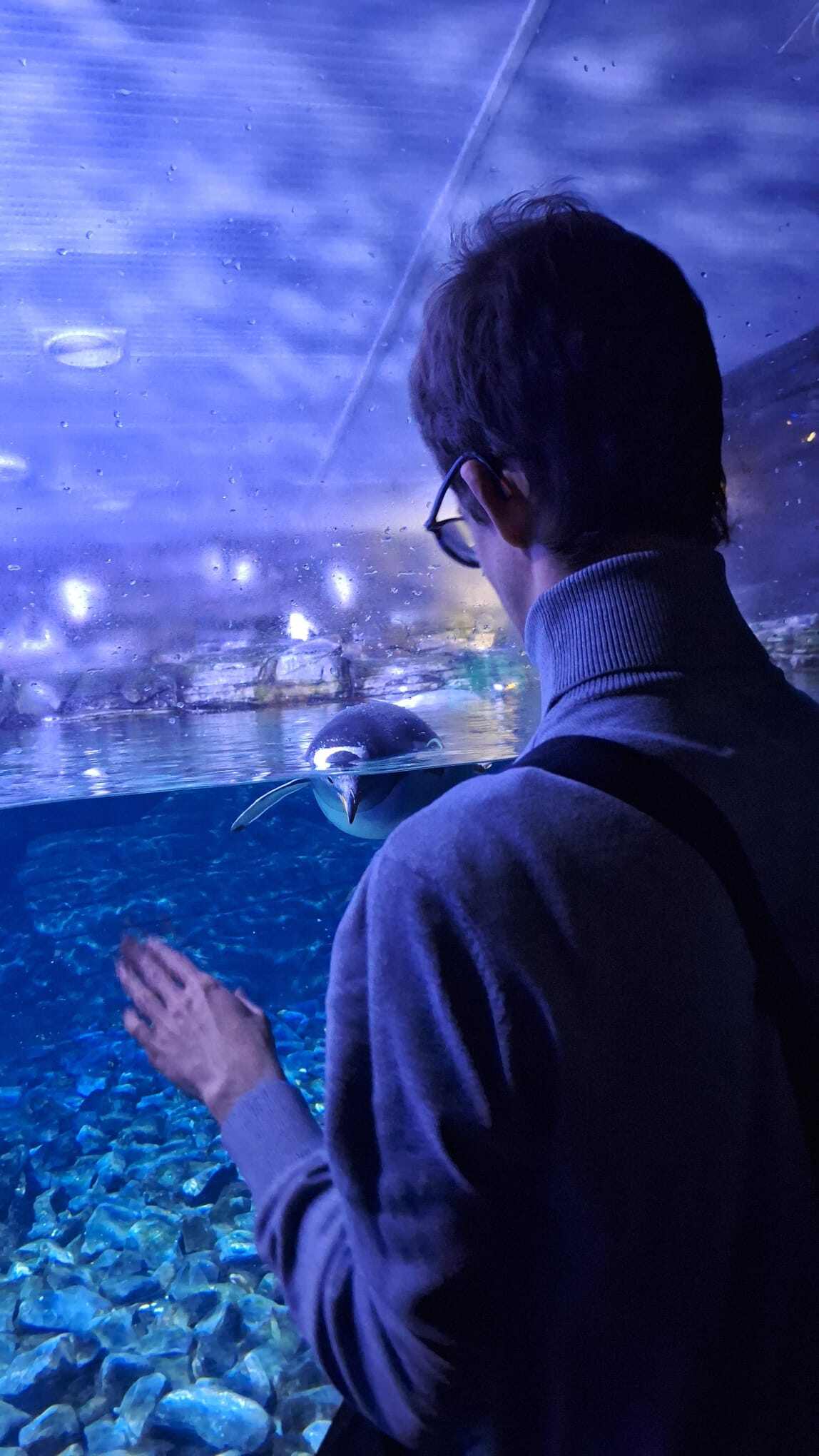 ENERO  - NACHO DE OCIO JOVENES 2 EN EL ACUARIUM