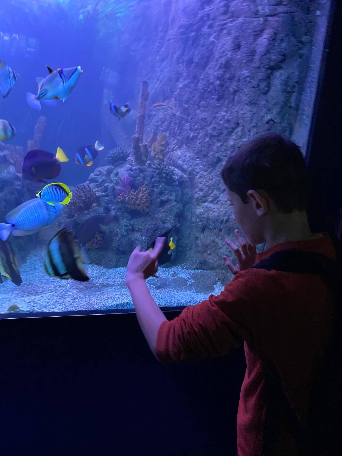 acuario2